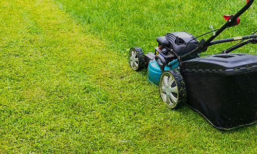 Take Care Of Your Lawn 