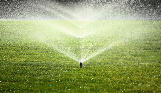 Irrigation Systems 